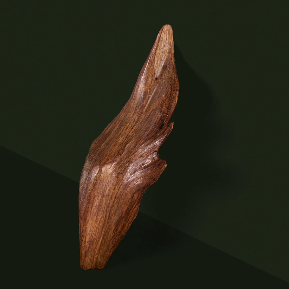 SAAD BASHAMMAKH — frame 14